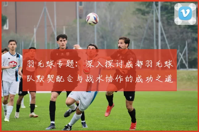 羽毛球专题：深入探讨成都羽毛球队默契配合与战术协作的成功之道