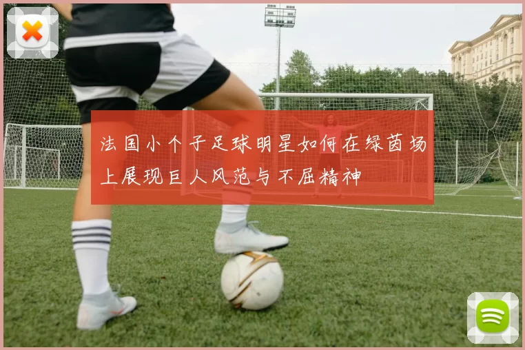 法国小个子足球明星如何在绿茵场上展现巨人风范与不屈精神