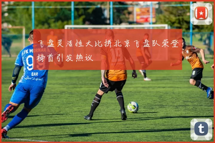 飞盘灵活性大比拼北京飞盘队荣登榜首引发热议
