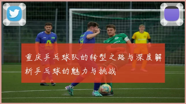 重庆乒乓球队的转型之路与深度解析乒乓球的魅力与挑战