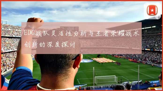EDG战队灵活性分析与王者荣耀战术创新的深度探讨