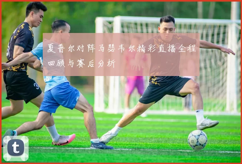 夏普尔对阵马瑟韦尔精彩直播全程回顾与赛后分析