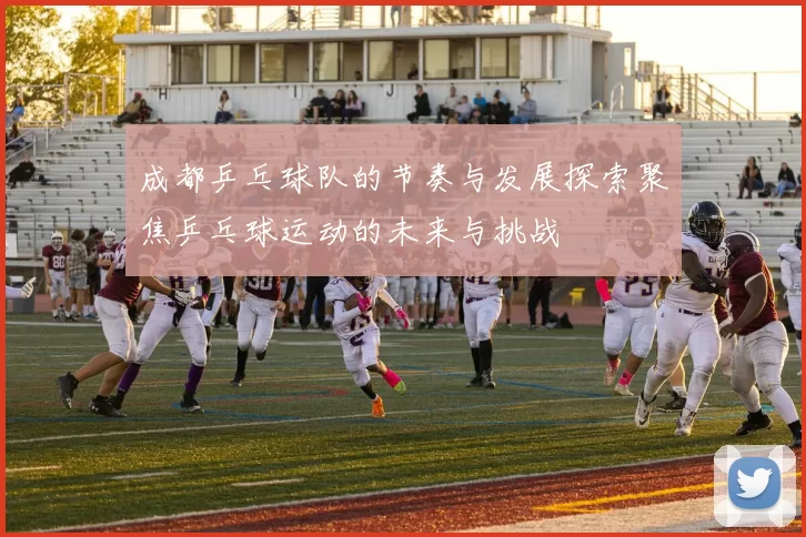 成都乒乓球队的节奏与发展探索聚焦乒乓球运动的未来与挑战