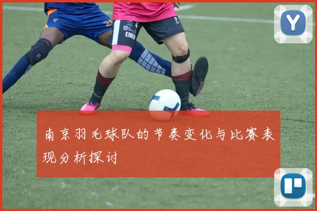 南京羽毛球队的节奏变化与比赛表现分析探讨