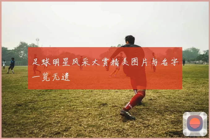 足球明星风采大赏精美图片与名字一览无遗