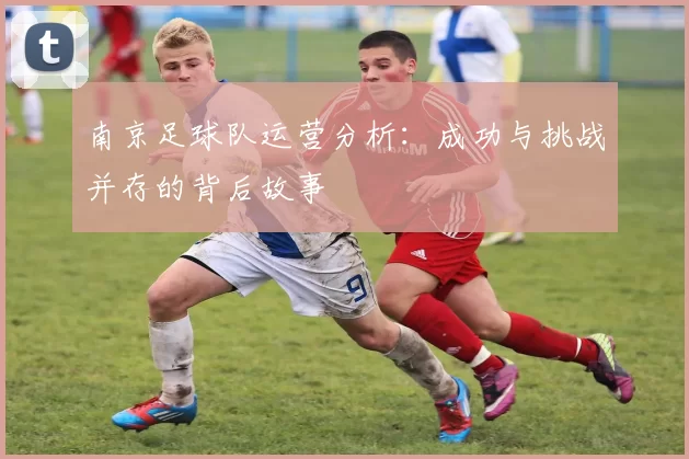 南京足球队运营分析：成功与挑战并存的背后故事