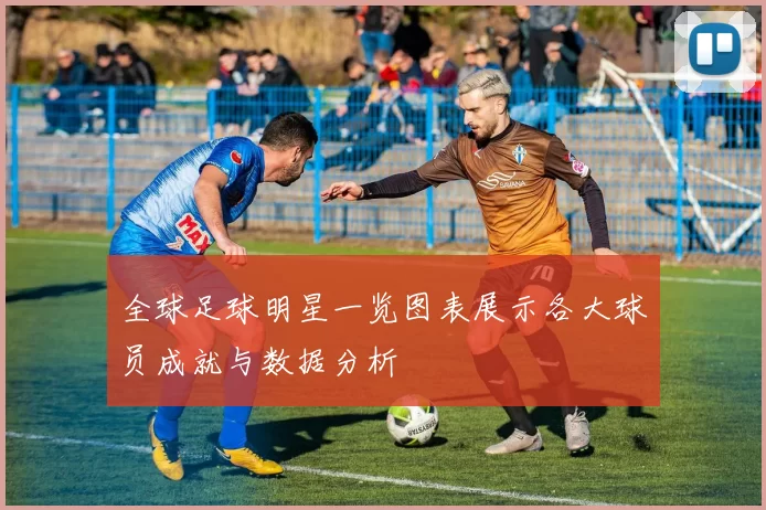 全球足球明星一览图表展示各大球员成就与数据分析