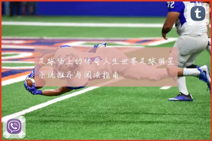 足球场上的传奇人生世界足球明星小说推荐与阅读指南