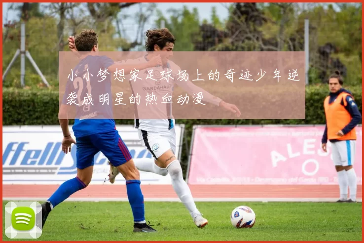 小小梦想家足球场上的奇迹少年逆袭成明星的热血动漫