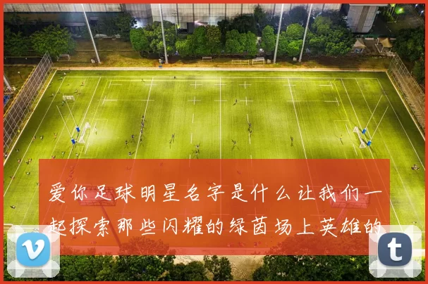 爱你足球明星名字是什么让我们一起探索那些闪耀的绿茵场上英雄的名字