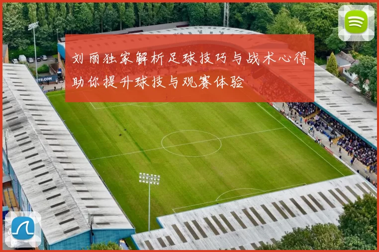刘丽独家解析足球技巧与战术心得助你提升球技与观赛体验