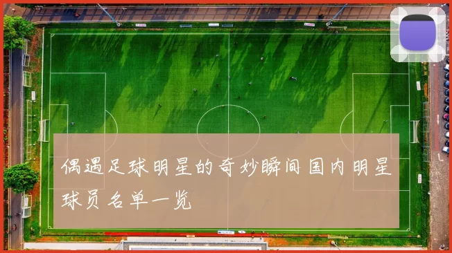 偶遇足球明星的奇妙瞬间国内明星球员名单一览