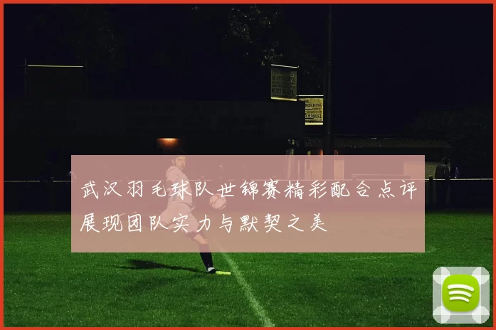 武汉羽毛球队世锦赛精彩配合点评展现团队实力与默契之美
