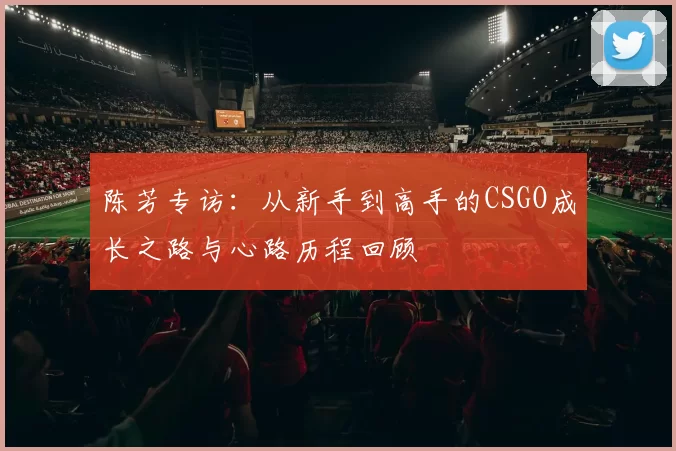 陈芳专访：从新手到高手的CSGO成长之路与心路历程回顾