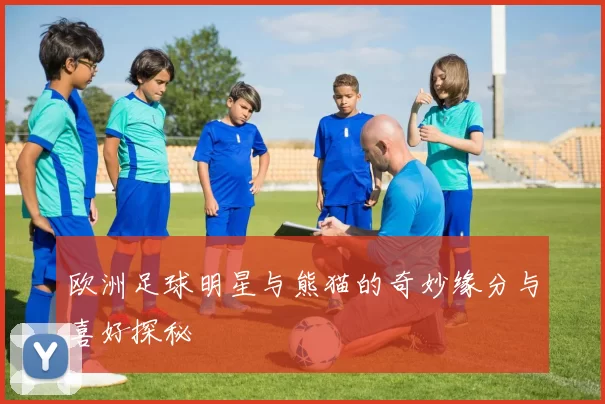 欧洲足球明星与熊猫的奇妙缘分与喜好探秘