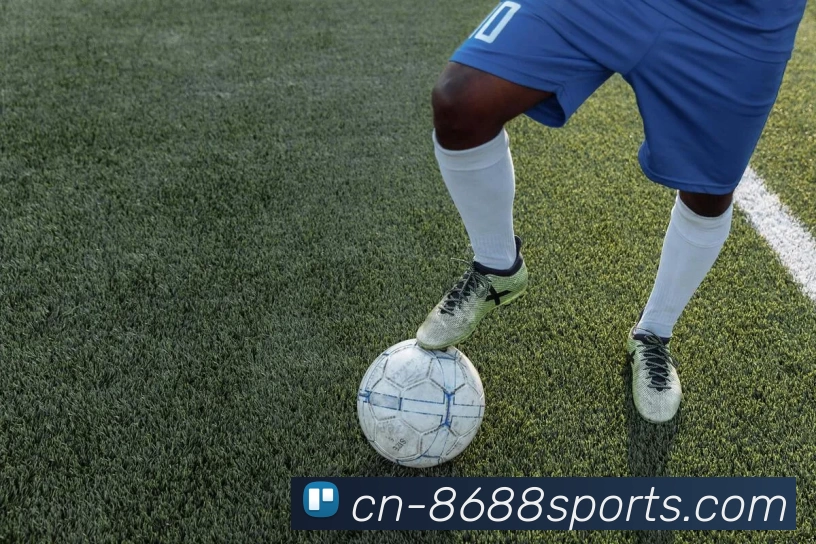 8688体育平台生态图